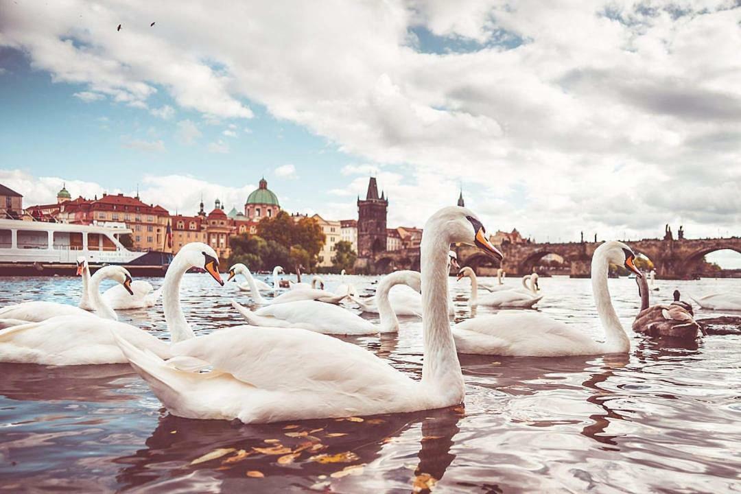 Quiet Apartment With Balcony Charles Bridge Prague Exterior photo